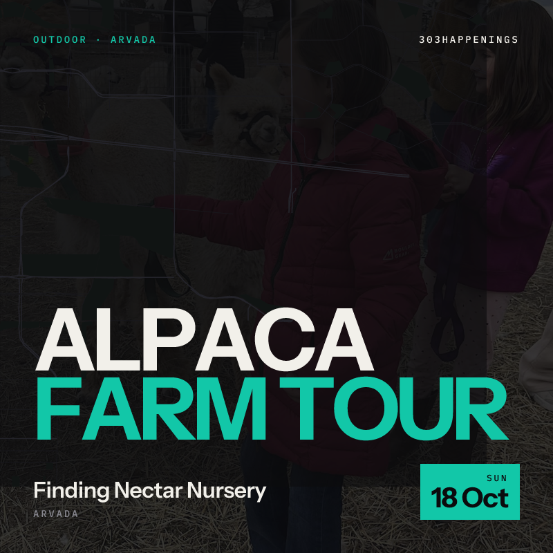 Alpaca Farm Tour