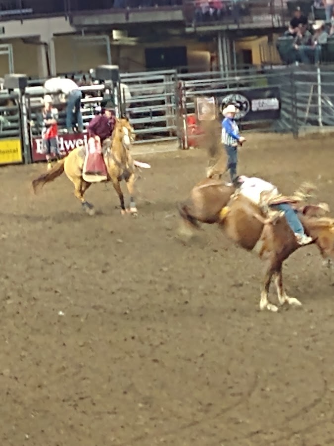 Blue Arena at The Ranch Events Complex, Denver