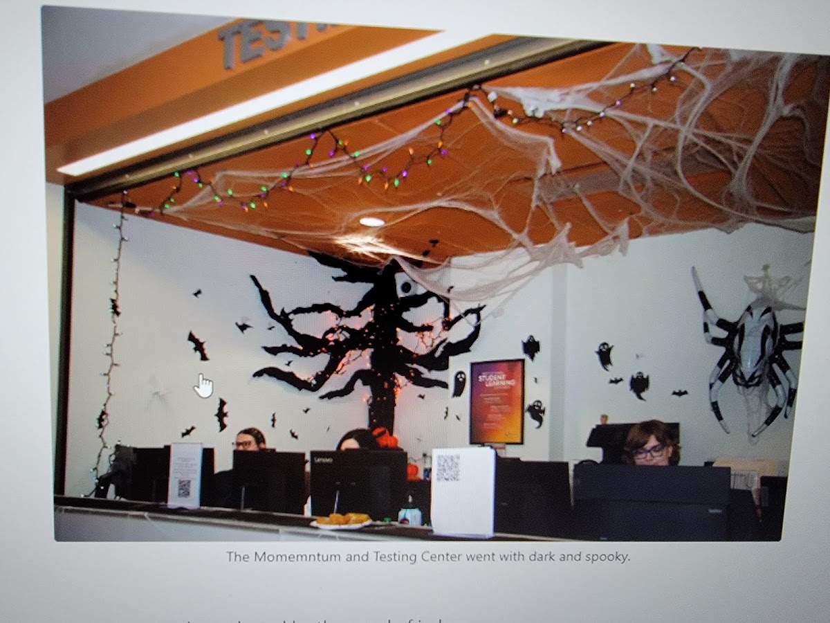 Test Connect Venue - Active, a bar in Auraria, Denver