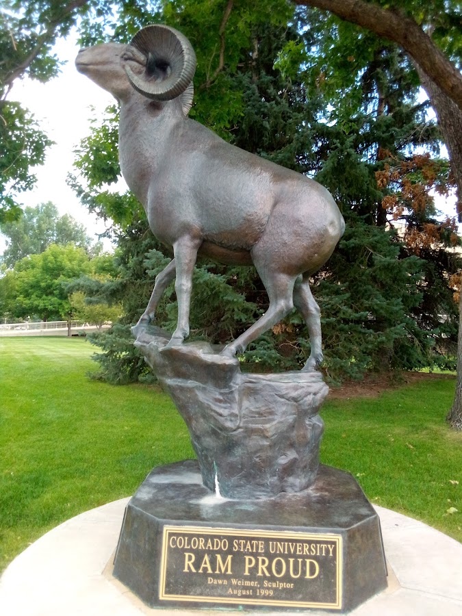 Moby Arena - Photo 3