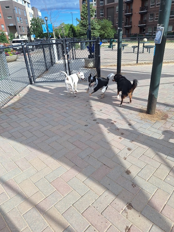 Railyard Dog Park, a restaurant in LoDo, Denver