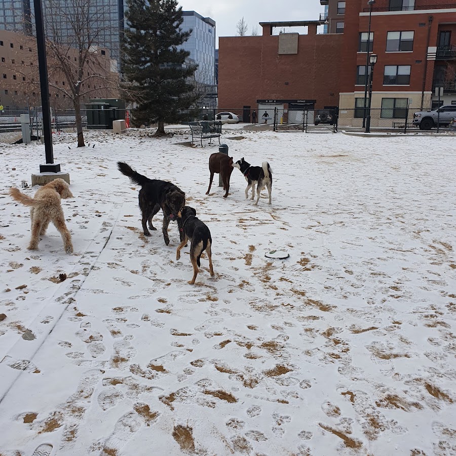 Railyard Dog Park, a restaurant in LoDo, Denver