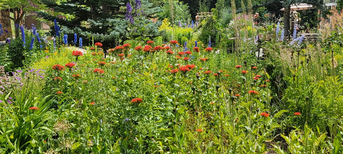 Ford Park - CO, Denver