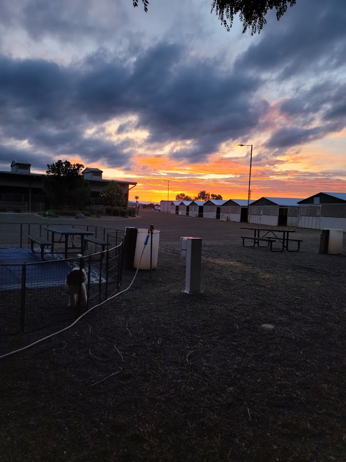 Mesa County Fairgrounds, Denver