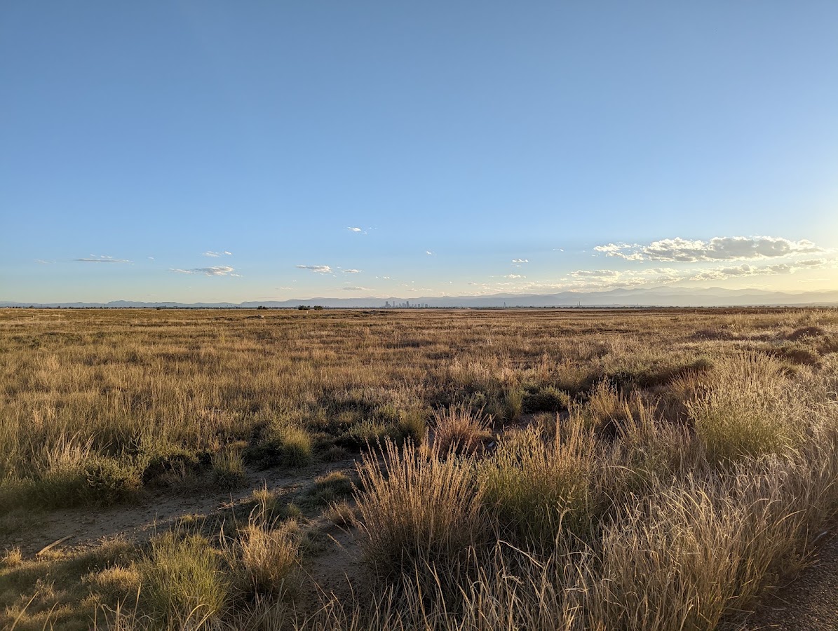 Rocky Mountain Arsenal Prairie in Commerce City, Denver