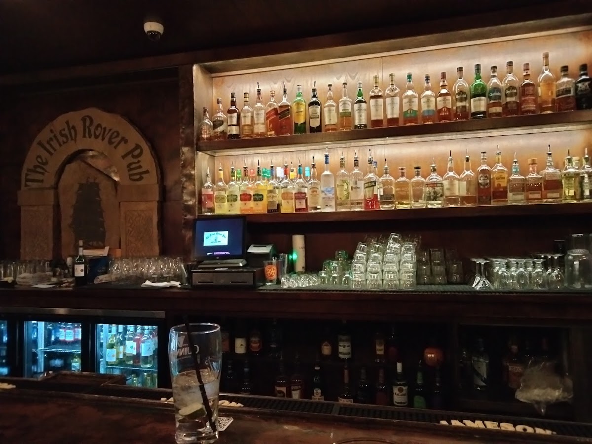 The Irish Rover (Denver), a bar in Baker, Denver