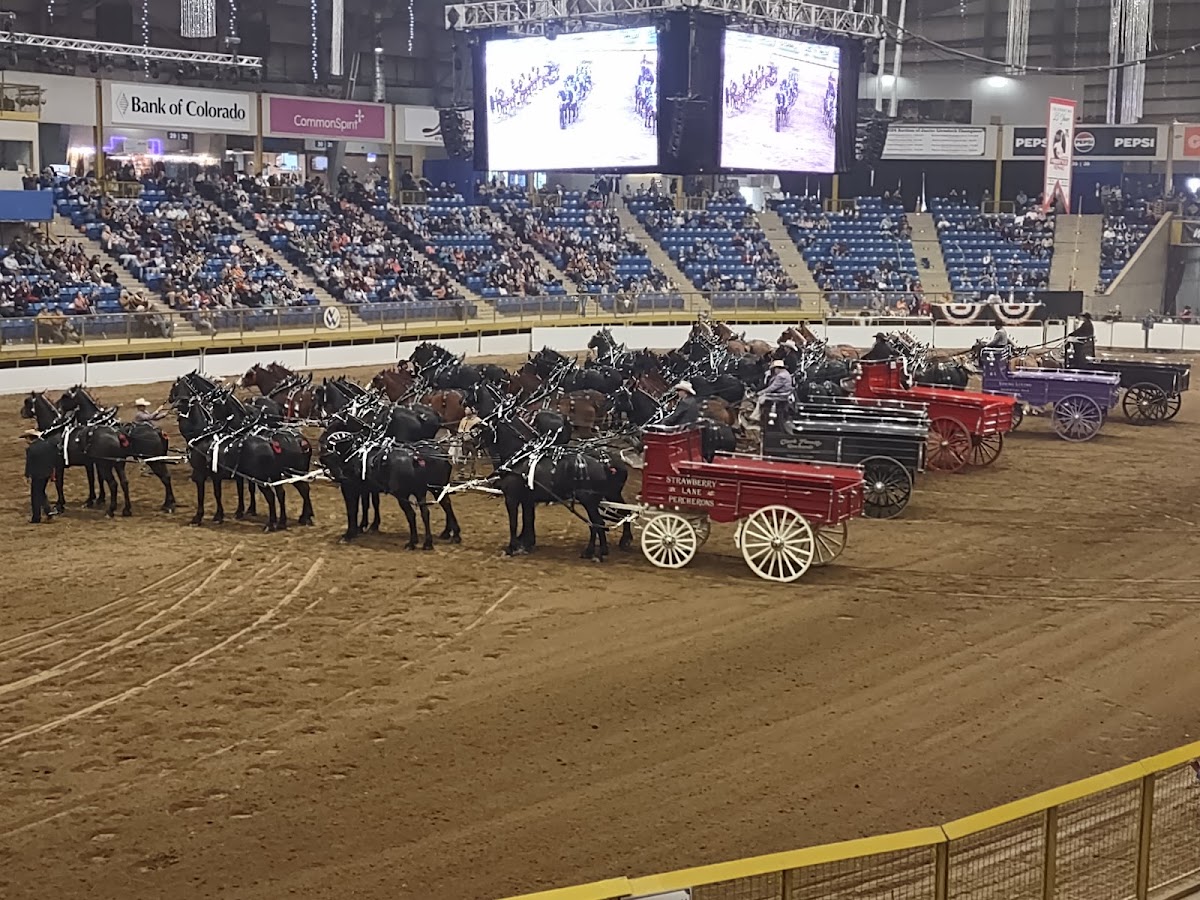 National Western Events Center - Photo 4