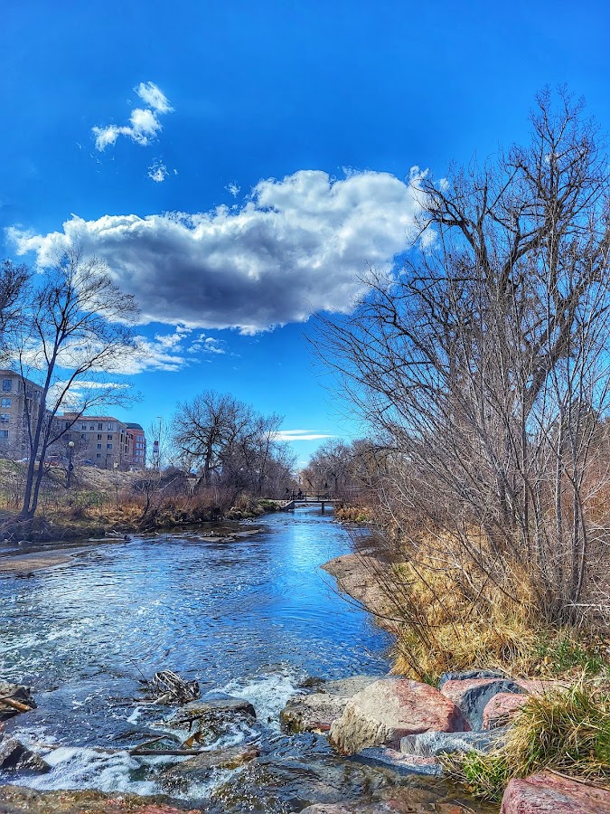 Cherry Creek Dog Park