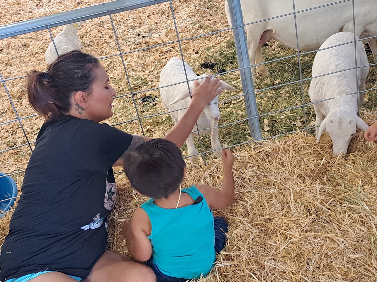 Colorado State Fair, Denver
