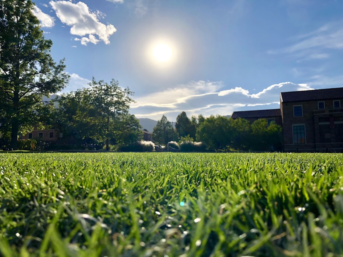Farrand Field, Denver