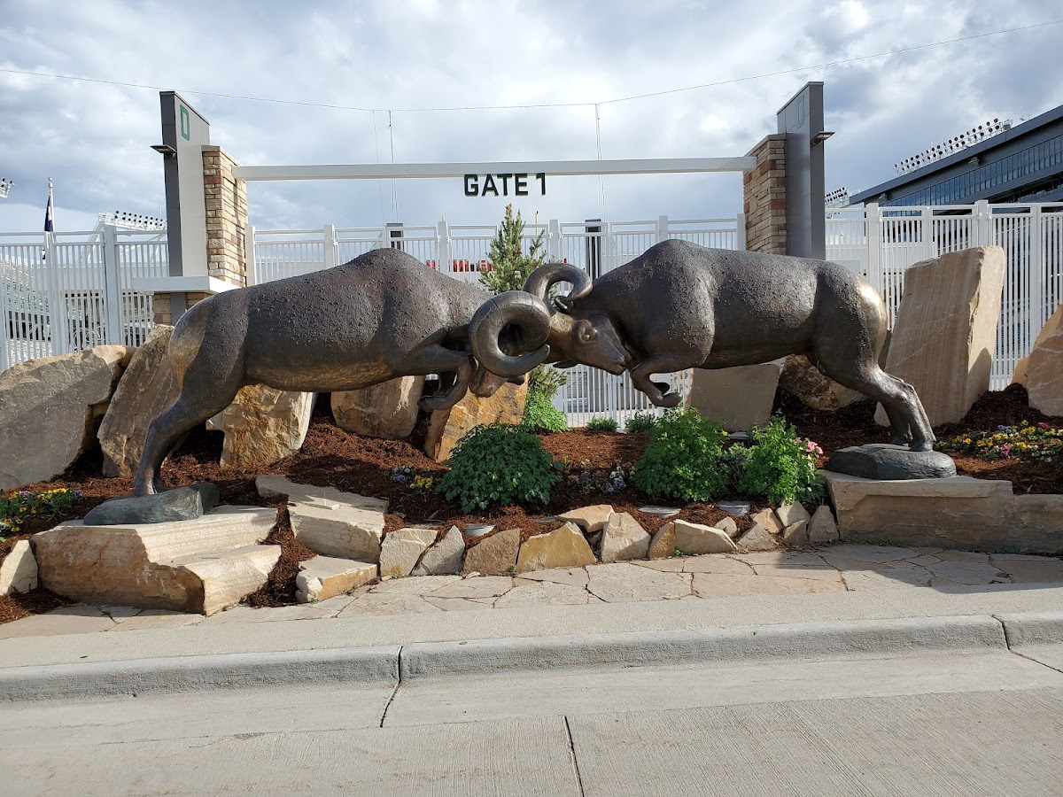 Canvas Stadium, Denver