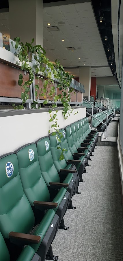 Canvas Stadium - Photo 8
